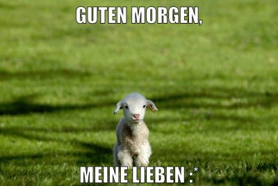 guten morgen, meine lieben :*