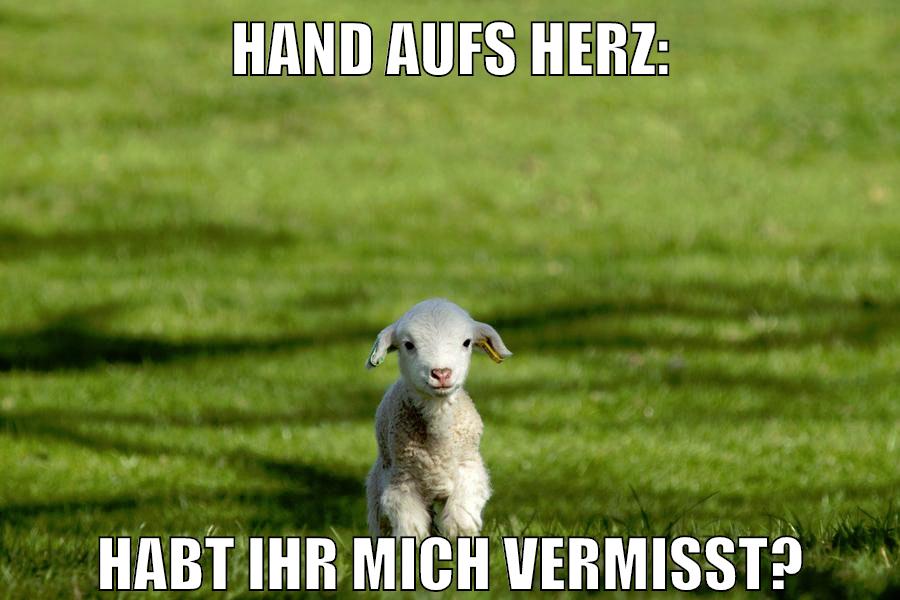 hand aufs herz: habt ihr mich vermisst?