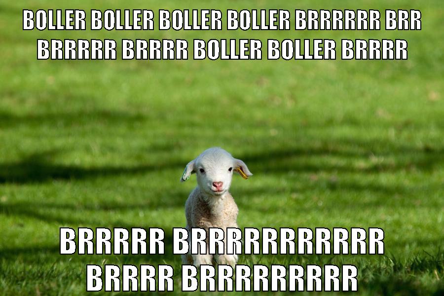 boller boller boller boller BRRRRRR BRR BRRRRR BRRRR boller boller BRRRR BRRRRR BRRRRRRRRRRR BRRRR BRRRRRRRRR