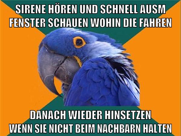 Sirene hören und schnell ausm fenster schauen wohin die fahren danach wieder hinsetzen wenn sie nicht beim nachbarn halten