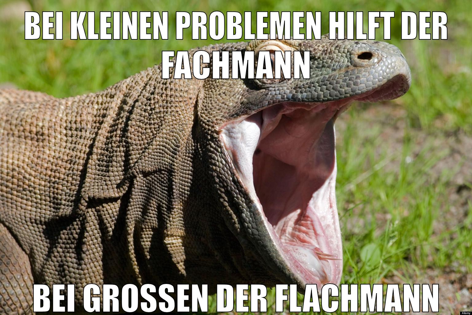 bei kleinen Problemen hilft der Fachmann bei großen der flachmann