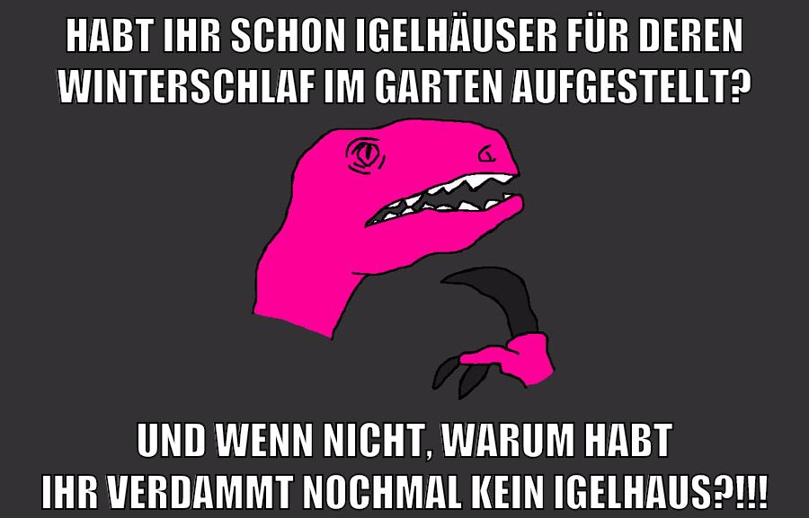 habt ihr schon igelhäuser für deren winterschlaf im garten aufgestellt? und wenn nicht, warum habt ihr verdammt nochmal kein igelhaus?!!!