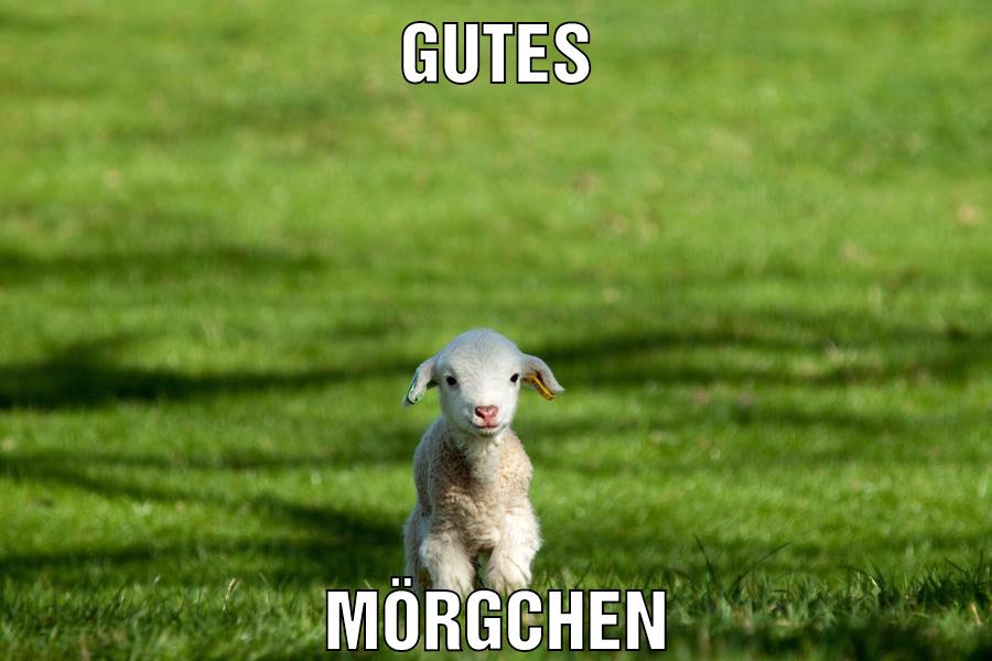 Gutes Mörgchen