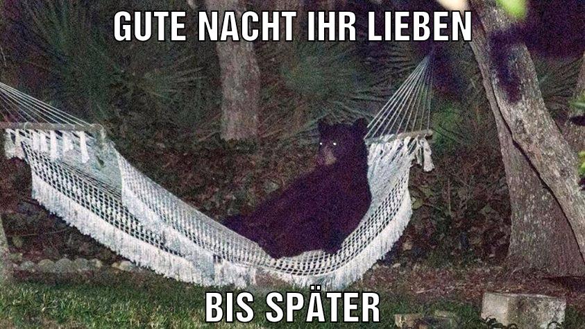 Gute nacht ihr lieben Bis später
