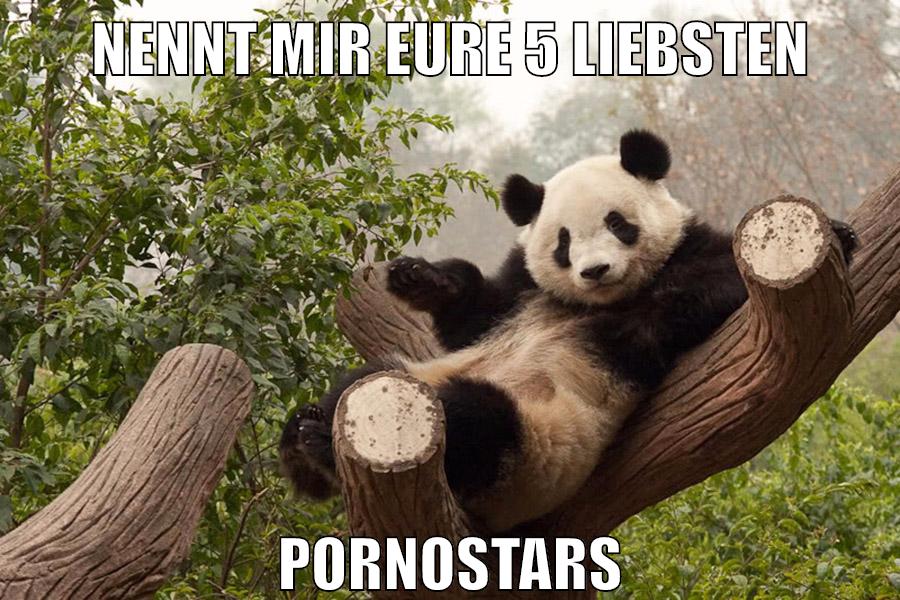 Nennt mir eure 5 liebsten Pornostars