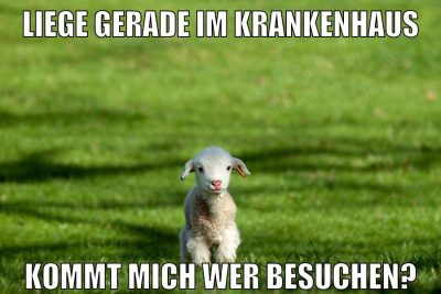 liege gerade im krankenhaus kommt mich wer besuchen?