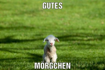Gutes Mörgchen