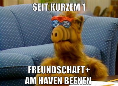 Seit kurzem 1 Freundschaft+ am haven beenen