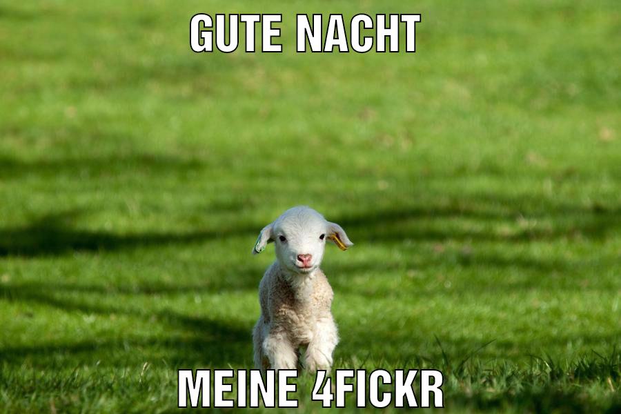Gute nacht Meine 4fickr