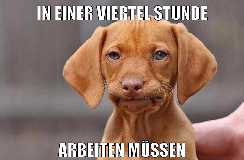in einer viertel Stunde Arbeiten müssen