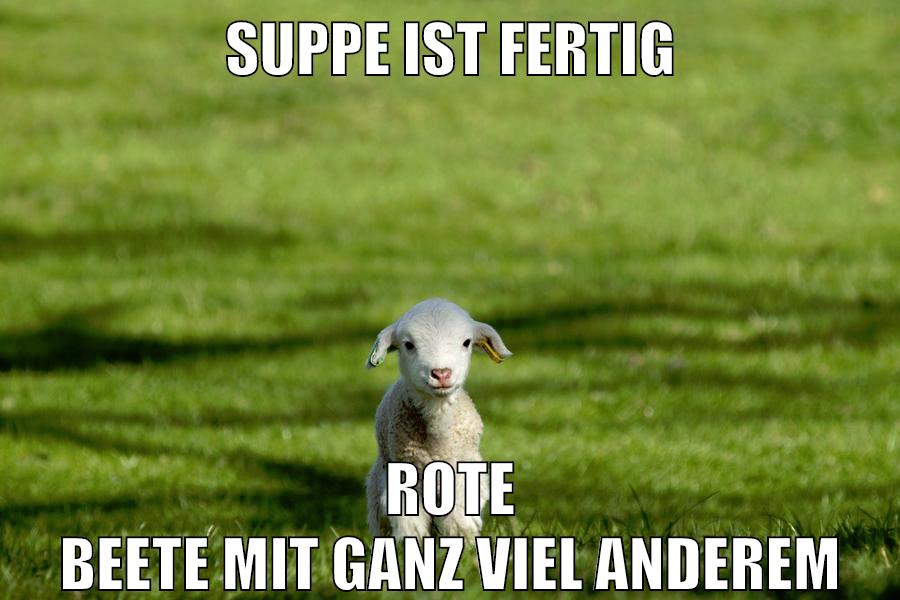 suppe ist fertig rote beete mit ganz viel anderem