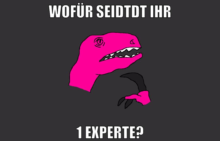 wofür seidtdt ihr 1 experte?