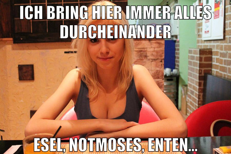 ich bring hier immer alles durcheinander esel, notmoses, enten...