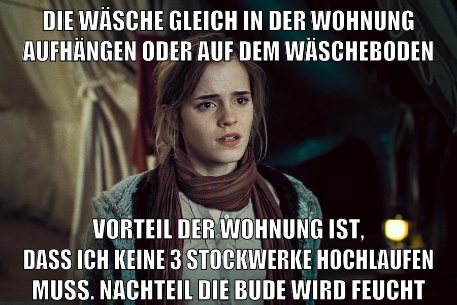 Die Wäsche gleich in der Wohnung aufhängen oder auf dem Wäscheboden Vorteil der Wohnung ist, dass ich keine 3 Stockwerke hochlaufen muss. nachteil die bude wird feucht