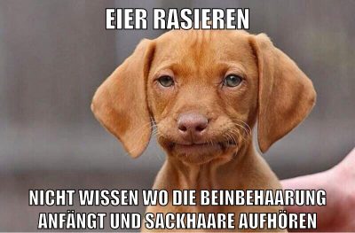 eier rasieren nicht wissen wo die beinbehaarung anfängt und sackhaare aufhören