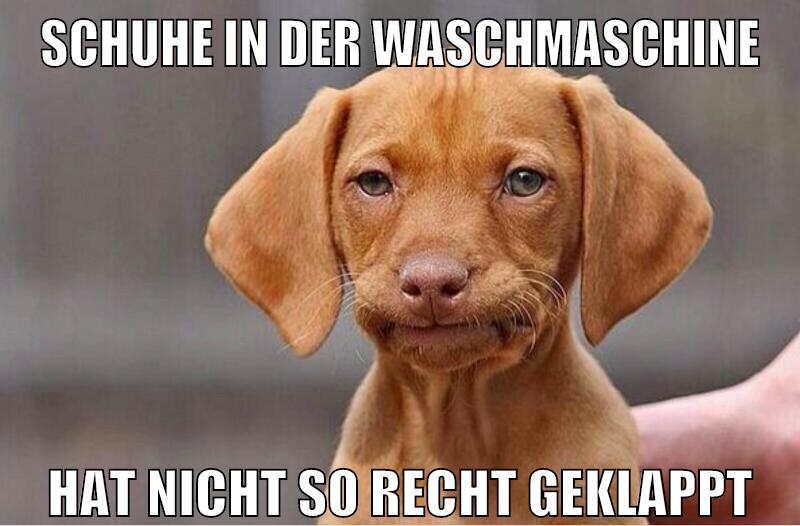 schuhe in der waschmaschine hat nicht so recht geklappt