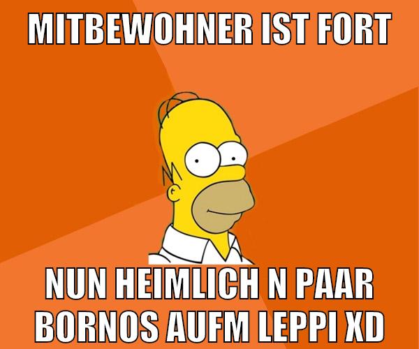 mitbewohner ist fort nun heimlich n paar bornos aufm leppi xD