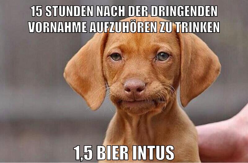15 stunden nach der dringenden vornahme aufzuhören zu trinken 1,5 bier intus