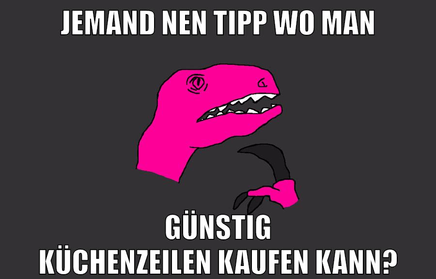JEMAND NEN TIPP WO MAN GÜNSTIG KÜCHENZEILEN KAUFEN KANN?