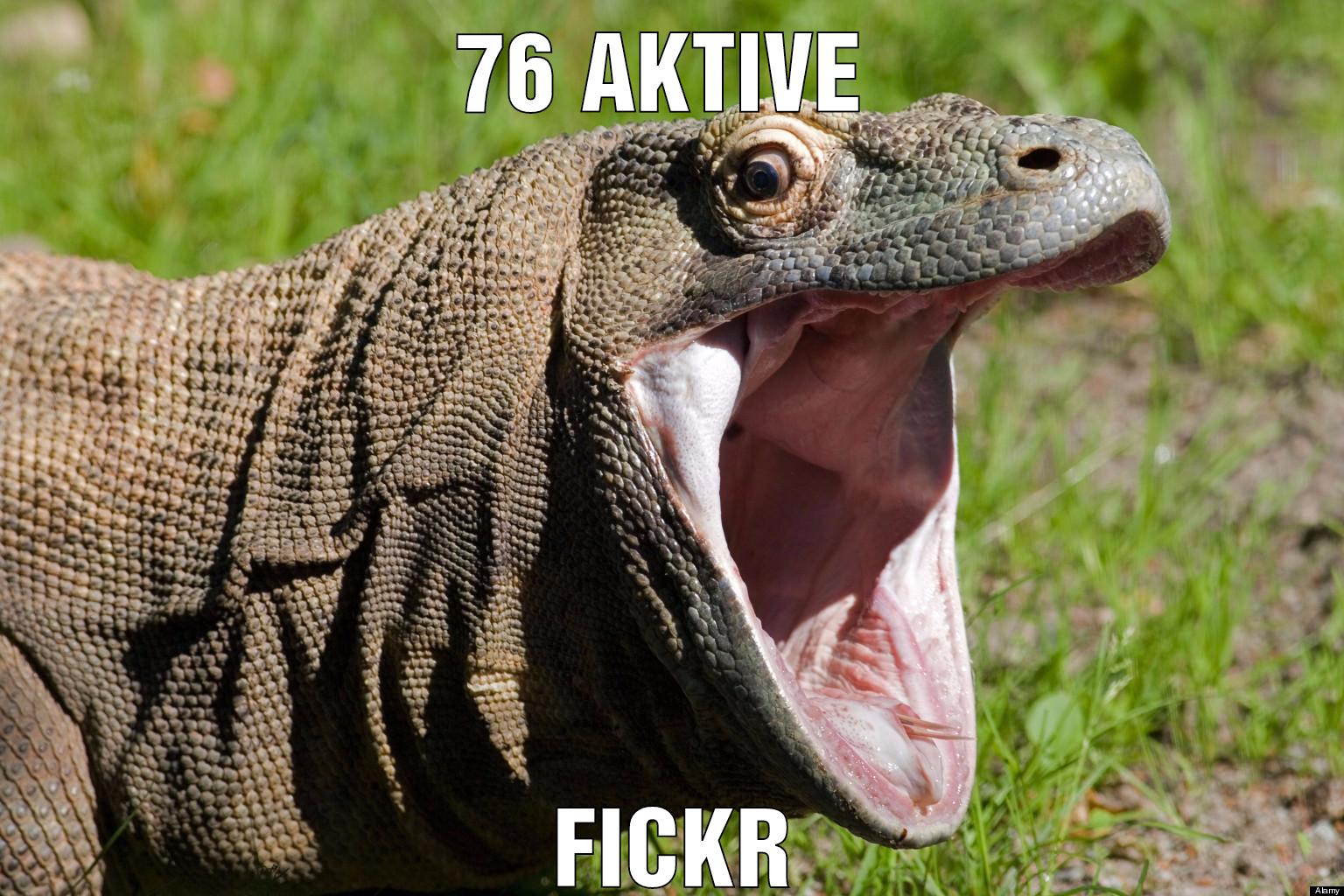 76 aktive Fickr