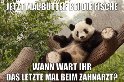 jetzt mal butter bei die fische wann wart ihr das letzte mal beim Zahnarzt?