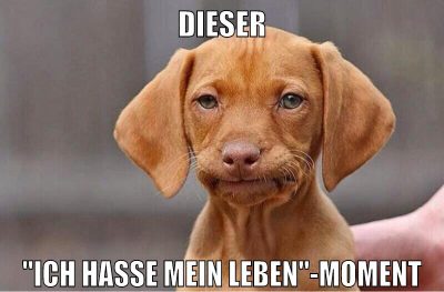 dieser "ich hasse mein leben"-moment