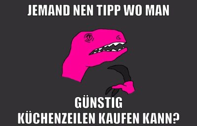 JEMAND NEN TIPP WO MAN GÜNSTIG KÜCHENZEILEN KAUFEN KANN?