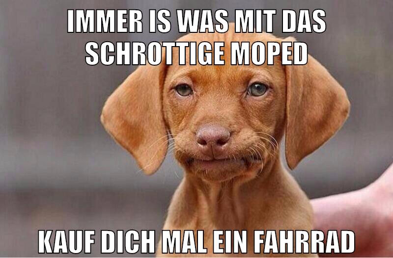 immer is was mit das schrottige moped kauf dich mal ein fahrrad