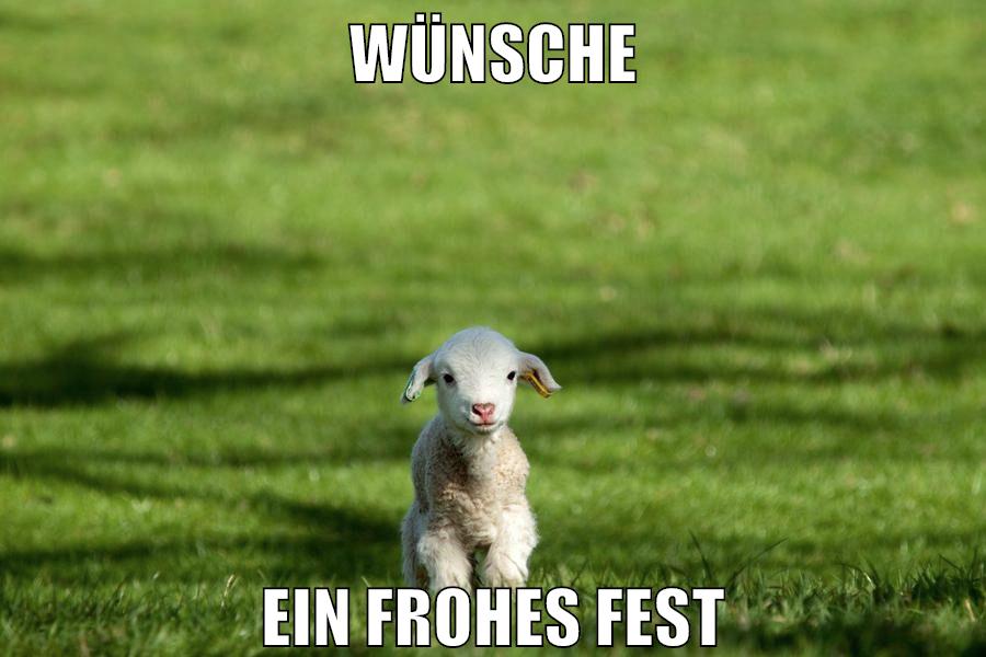 WÜNSCHE EIN FROHES FEST