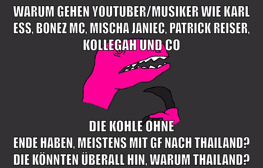 warum gehen youtuber/musiker wie karl ess, bonez mc, mischa janiec, patrick reiser, kollegah und co die kohle ohne ende haben, meistens mit gf nach thailand? die könnten überall hin, warum thailand?