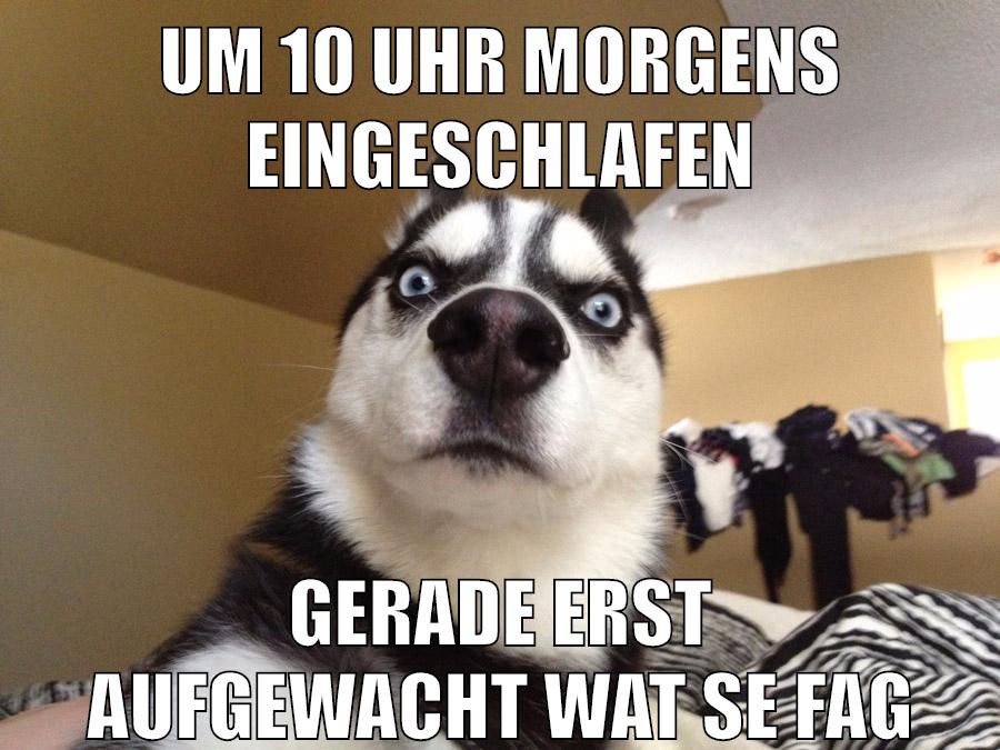 um 10 uhr morgens eingeschlafen gerade erst aufgewacht wat se fag