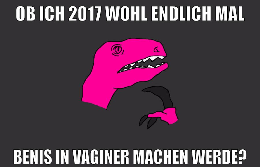 ob ich 2017 wohl endlich mal benis in vaginer machen werde?