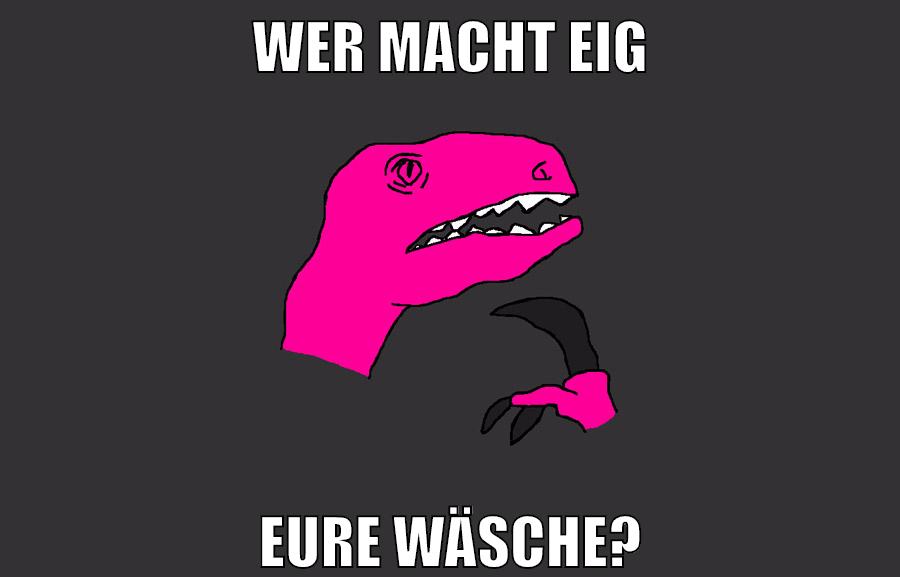 wer macht eig eure wäsche?