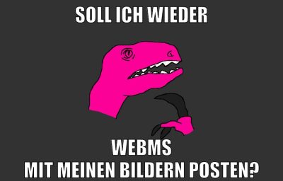 soll ich wieder webms mit meinen bildern posten?