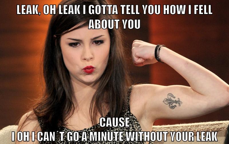 Leak, oh leak i gotta tell you how i fell about you cause i oh i can´t go a minute without your leak