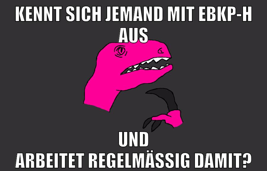 kennt sich jemand mit eBKP-H aus und arbeitet regelmässig damit?