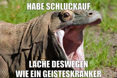 habe schluckauf lache deswegen wie ein geisteskranker