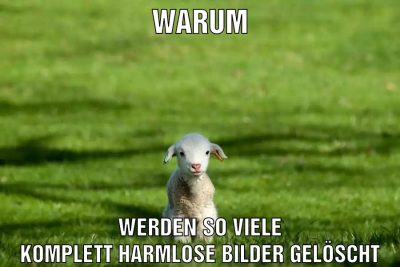 Warum Werden so viele komplett harmlose Bilder gelöscht