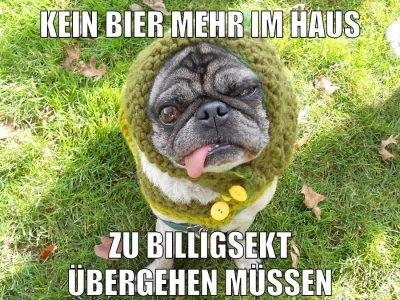 Kein bier mehr im haus zu billigsekt übergehen müssen