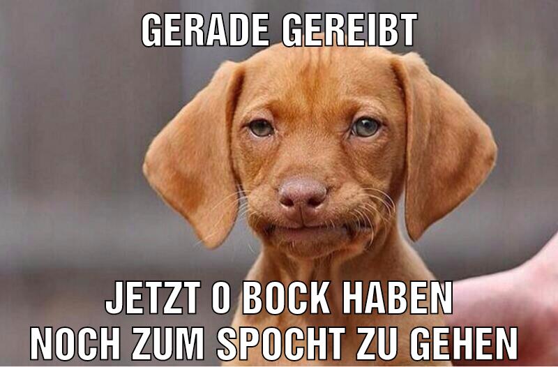 Gerade gereibt Jetzt 0 Bock haben noch zum spocht zu gehen
