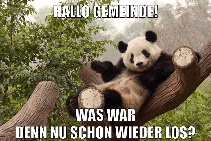 Hallo Gemeinde! was war denn nu schon wieder los?
