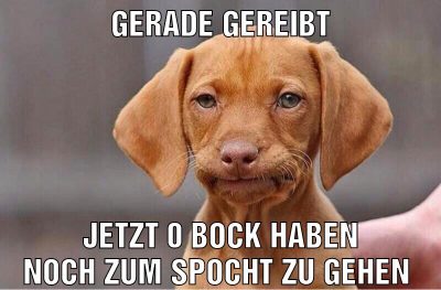 Gerade gereibt Jetzt 0 Bock haben noch zum spocht zu gehen