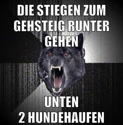 DIE STIEGEN ZUM GEHSTEIG RUNTER GEHEN UNTEN 2 HUNDEHAUFEN