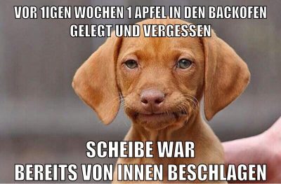 vor 1igen wochen 1 apfel in den backofen gelegt und vergessen scheibe war bereits von innen beschlagen
