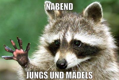 nabend jungs und mädels