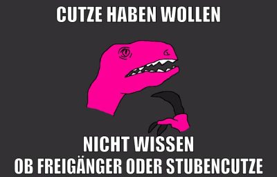 cutze haben wollen nicht wissen ob freigänger oder stubencutze