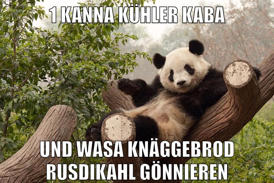 1 kanna kühler kaba und wasa knäggebrod rusdikahl gönnieren