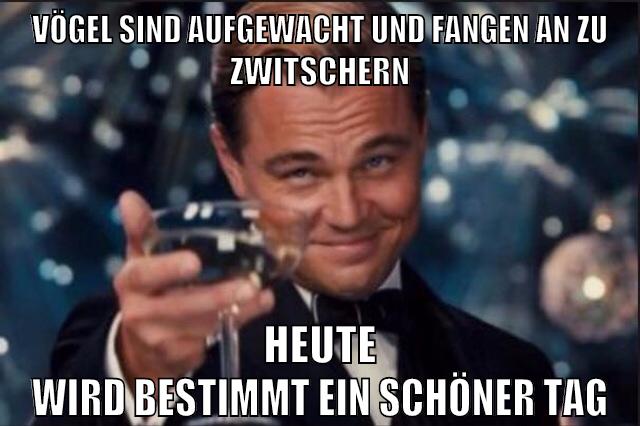 vögel sind aufgewacht und fangen an zu zwitschern heute wird bestimmt ein schöner tag