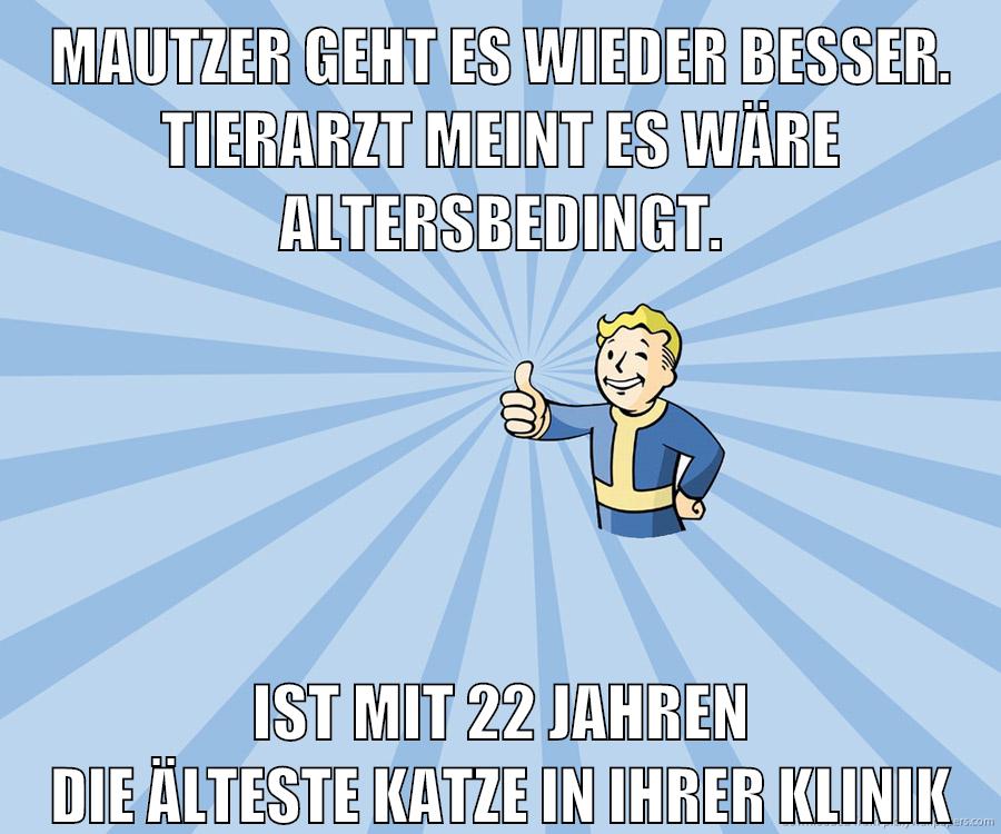 mautzer geht es wieder besser. tierarzt meint es wäre altersbedingt. ist mit 22 jahren die älteste katze in ihrer klinik