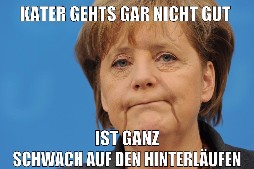 kater gehts gar nicht gut ist ganz schwach auf den hinterläufen